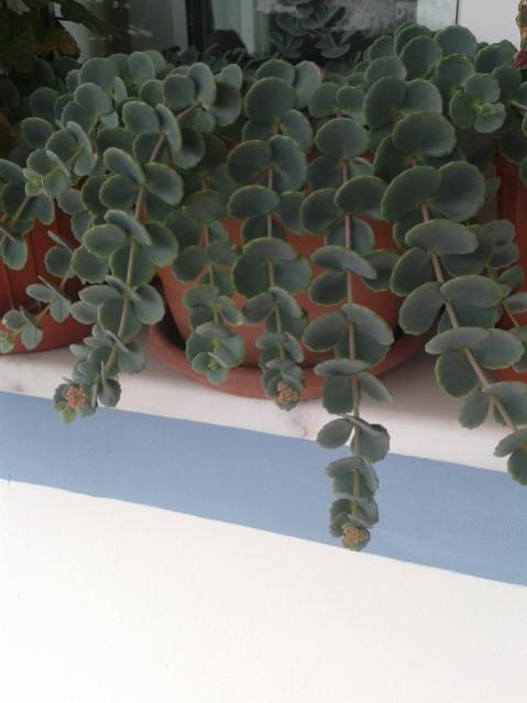 Name:  20170618_101112.jpg
Views: 450
Size:  30.3 KB