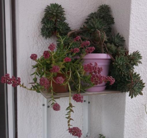 Name:  DSCF0779.jpg
Views: 584
Size:  35.2 KB
