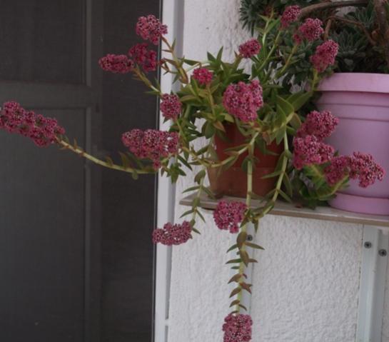 Name:  DSCF0777.jpg
Views: 610
Size:  31.5 KB