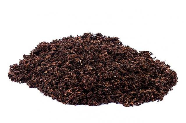 Name:  peat moss.jpg
Views: 1464
Size:  39.8 KB
