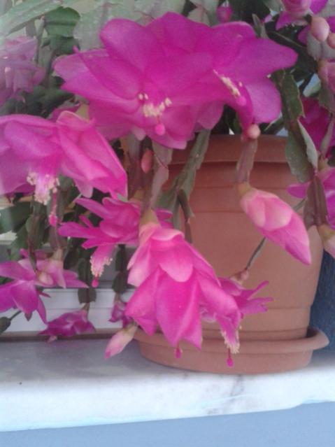 Name:  20171214_175430.jpg
Views: 398
Size:  33.3 KB