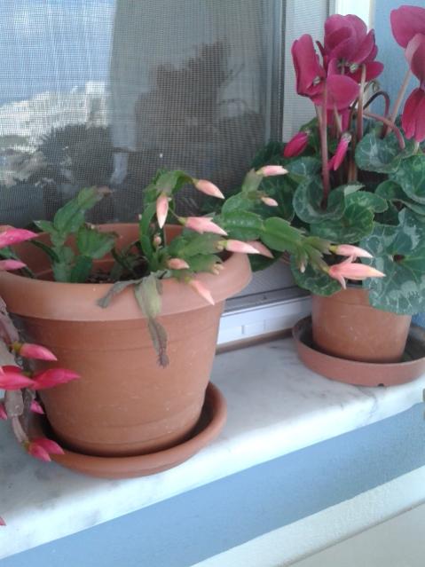 Name:  20171203_110158.jpg
Views: 424
Size:  39.7 KB
