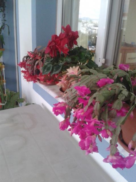 Name:  20171214_175621.jpg
Views: 383
Size:  35.0 KB