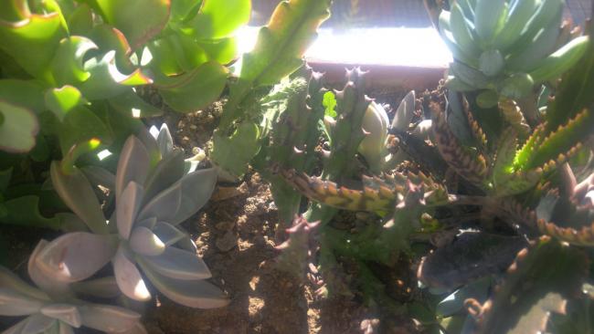Name:  20171030_110317.jpg
Views: 855
Size:  35.5 KB