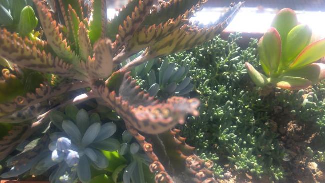 Name:  20171030_110322.jpg
Views: 883
Size:  41.9 KB