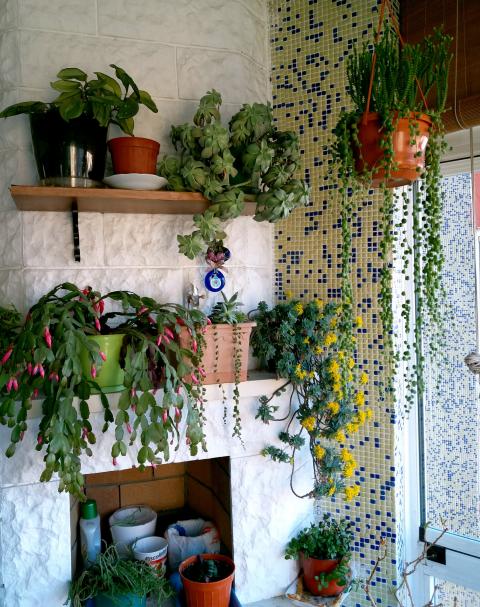 Name:  20180217_083216.jpg
Views: 657
Size:  75.8 KB
