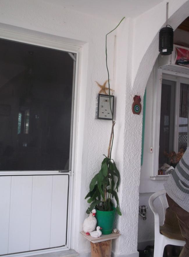 Name:  DSCF0993.jpg
Views: 729
Size:  51.0 KB