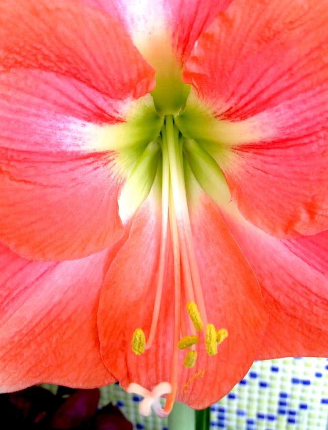 Name:  PicsArt_04-29-01.25.32.jpg
Views: 401
Size:  69.2 KB