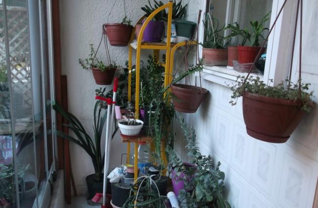 Name:  DSCF1239.jpg
Views: 549
Size:  45.9 KB