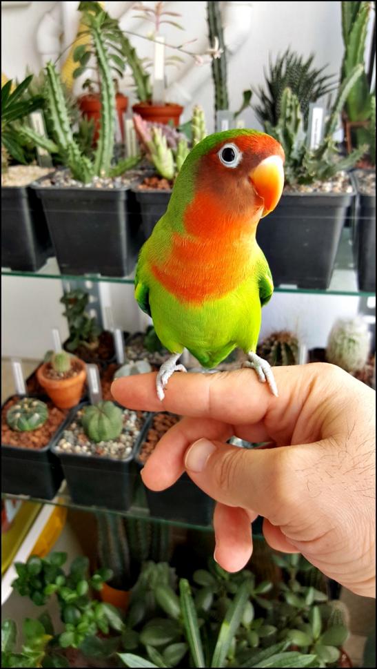 Name:  K (313).jpg
Views: 461
Size:  77.3 KB