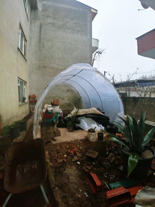 Name:  20190223_160733_HDR-600x800.jpg
Views: 393
Size:  54.6 KB