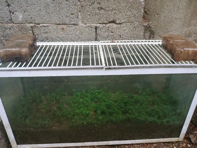 Name:  20190223_160621_HDR-800x600.jpg
Views: 380
Size:  63.0 KB