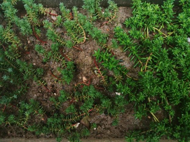 Name:  20190223_160636_HDR-800x600.jpg
Views: 378
Size:  71.1 KB