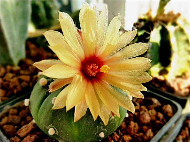 Name:  x (2).jpg
Views: 707
Size:  52.4 KB
