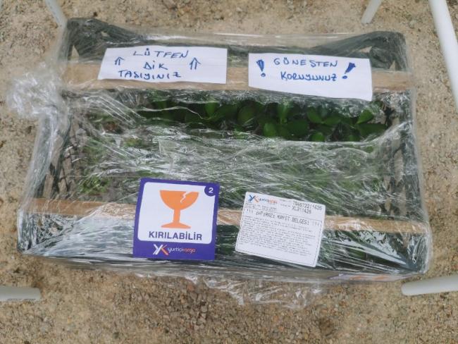 Name:  20190406_130415_HDR-800x600.jpg
Views: 272
Size:  62.9 KB