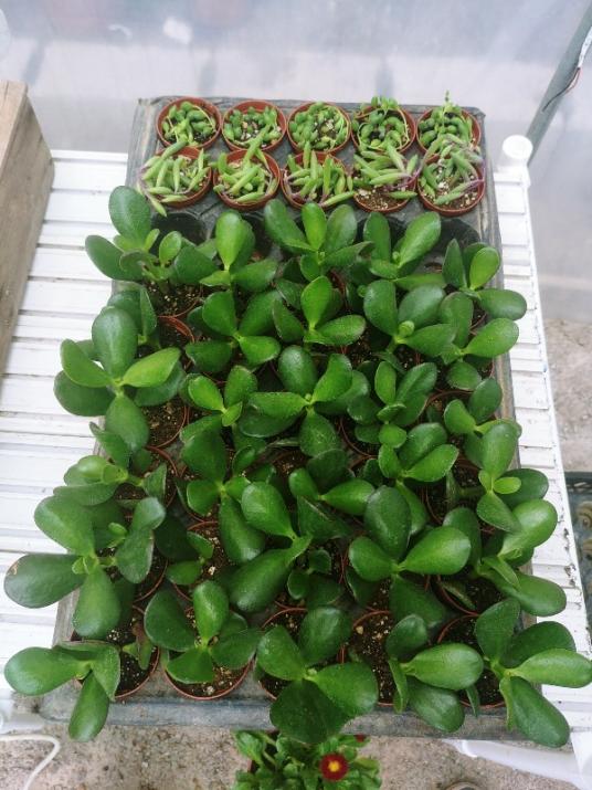 Name:  20190406_132414_HDR-600x800.jpg
Views: 280
Size:  68.8 KB