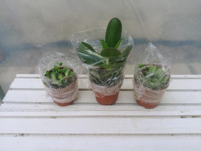 Name:  20190406_130753_HDR-800x600.jpg
Views: 287
Size:  33.2 KB