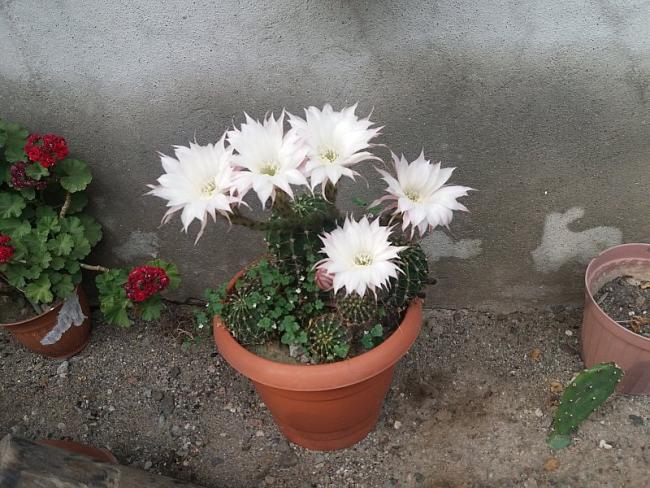 Name:  6.jpg
Views: 556
Size:  65.6 KB
