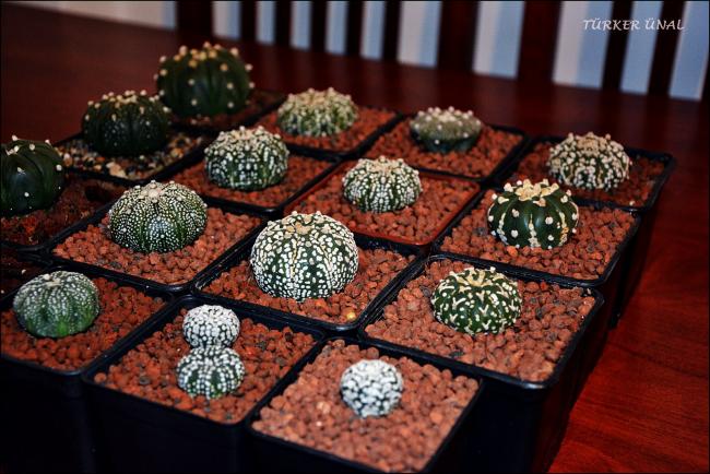 Name:  004.jpg
Views: 280
Size:  57.7 KB