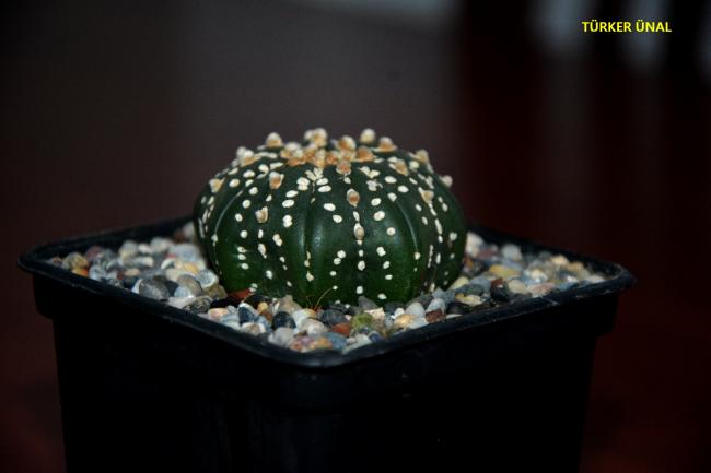 Name:  003.jpg
Views: 493
Size:  22.4 KB