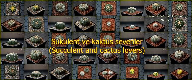 Name:  001.jpg
Views: 431
Size:  56.6 KB