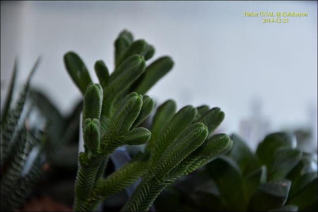 Name:  002-2019-12-30-15,52,01.jpg
Views: 358
Size:  25.9 KB