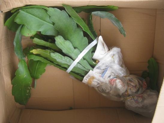 Name:  atlaslar.jpg
Views: 643
Size:  25.6 KB