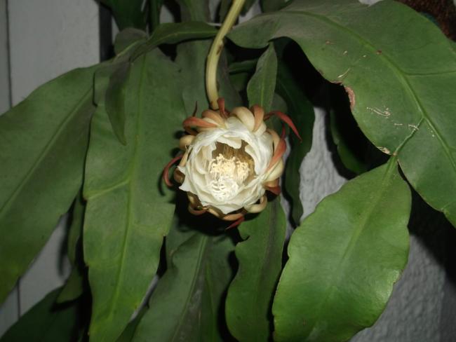 Name:  DSCF1839.jpg
Views: 349
Size:  32.3 KB