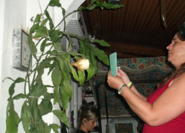 Name:  DSCF1847.jpg
Views: 506
Size:  39.4 KB