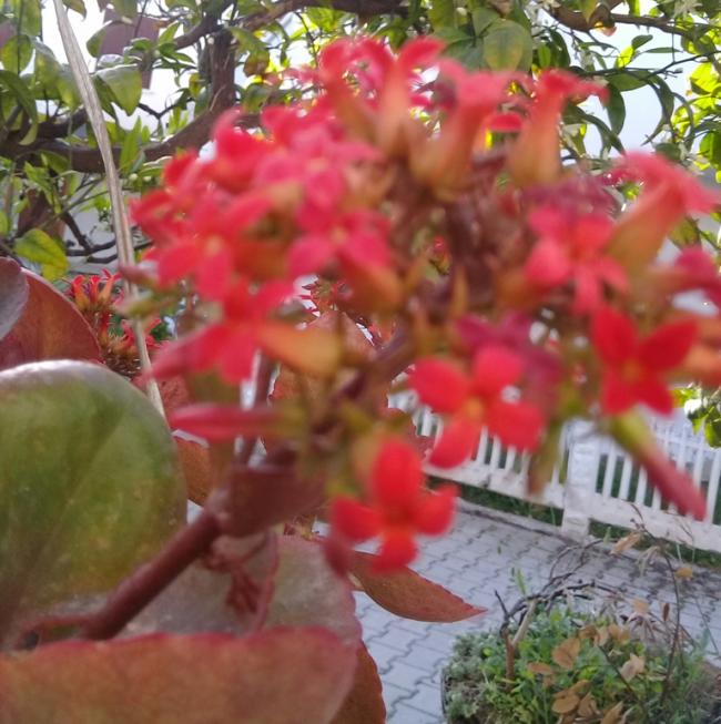 Name:  20210505_184008.jpg
Views: 352
Size:  62.9 KB