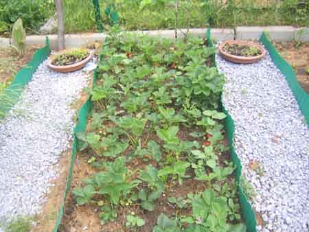 Name:  22.05 022.JPG
Views: 6024
Size:  66.7 KB