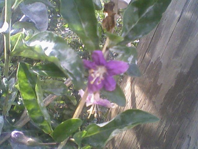 Name:  Fotoraf-0002.jpg
Views: 879
Size:  47.3 KB