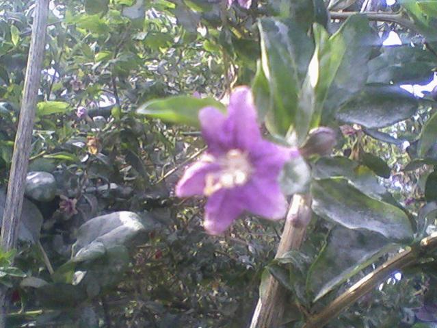 Name:  Fotoraf-0003.jpg
Views: 829
Size:  56.7 KB