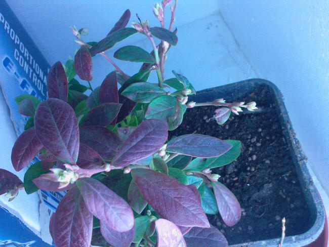Name:  Fotoraf-0144.jpg
Views: 596
Size:  52.0 KB