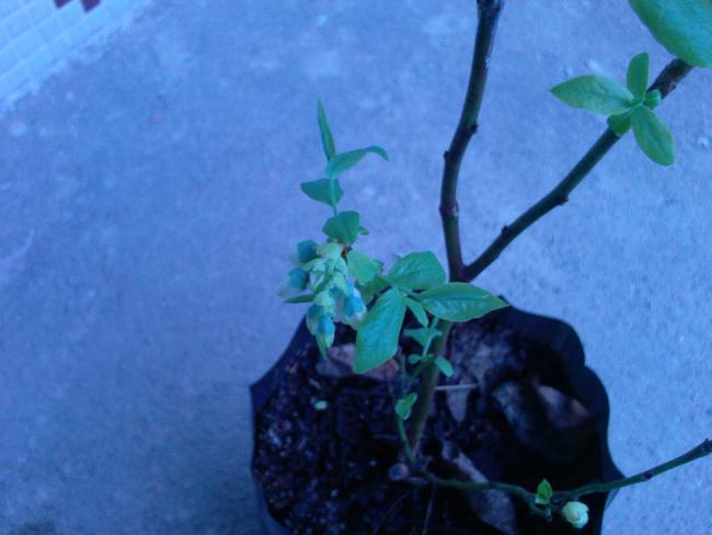 Name:  Fotoraf-0126.jpg
Views: 825
Size:  33.5 KB