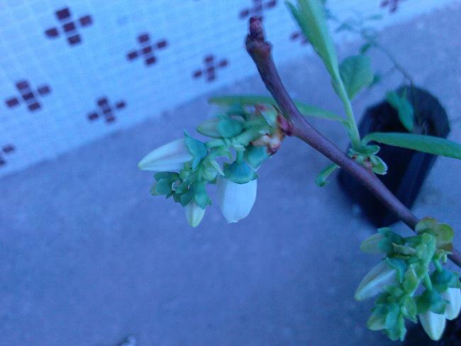 Name:  Fotoraf-0127.jpg
Views: 789
Size:  29.3 KB