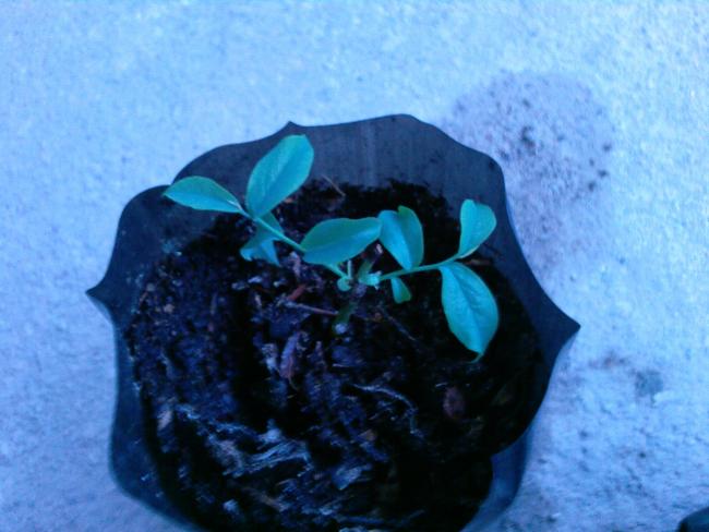 Name:  Fotoraf-0132.jpg
Views: 793
Size:  40.2 KB