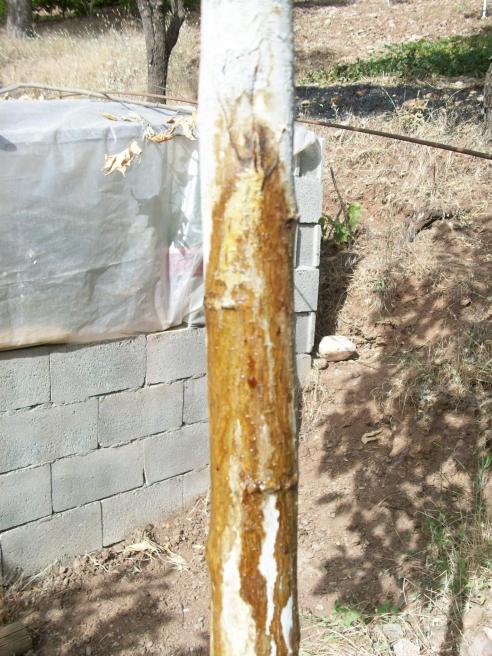 Name:  100_2597.jpg
Views: 2609
Size:  73.9 KB