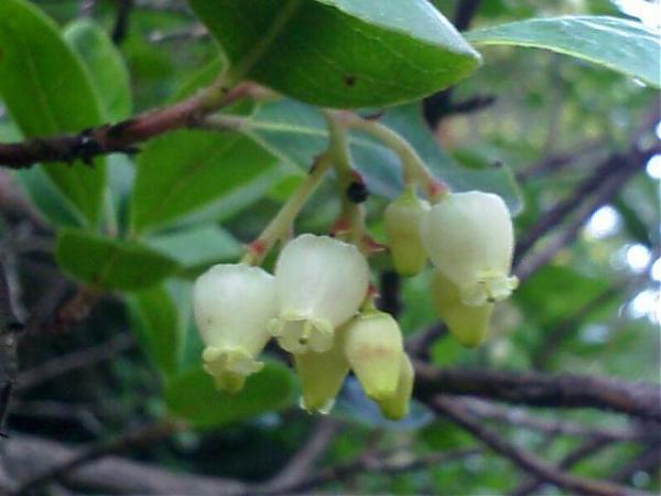 Name:  200602011412_00067.jpg
Views: 5257
Size:  30.2 KB