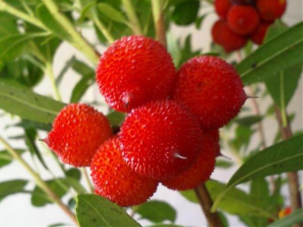 Name:  200602011510_00078.jpg
Views: 9182
Size:  37.7 KB