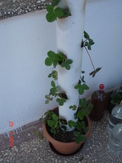 Name:  DSC09298.JPG
Views: 6063
Size:  51.5 KB