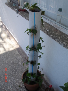 Name:  DSC09296.JPG
Views: 3016
Size:  48.0 KB