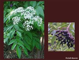 Name:  images.jpg
Views: 1064
Size:  11.8 KB