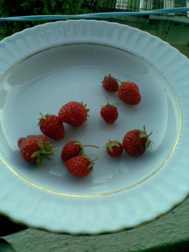 Name:  30052012(004).jpg
Views: 2874
Size:  54.9 KB