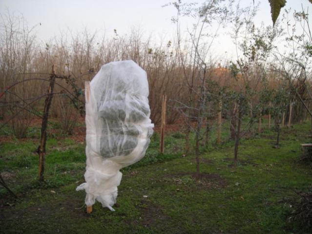 Name:  012.jpg
Views: 1282
Size:  47.3 KB