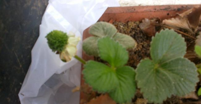 Name:  2013-03-17-0278.jpg
Views: 1511
Size:  22.6 KB