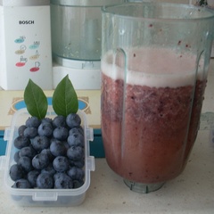 Name:  bluecrop_11.jpg
Views: 1886
Size:  59.8 KB