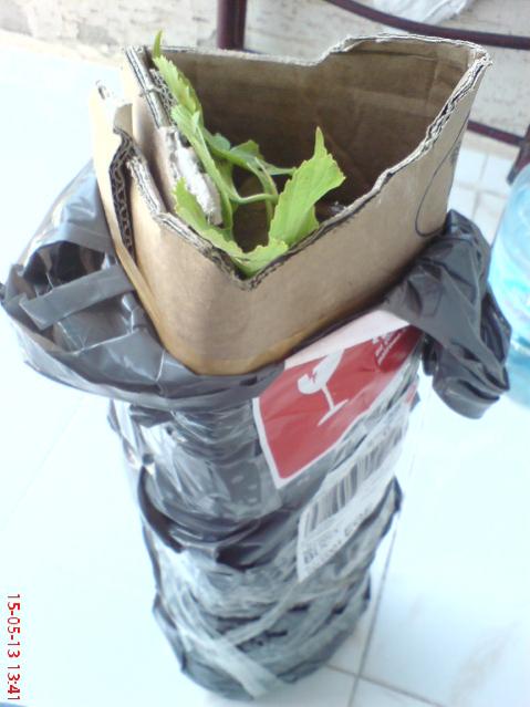 Name:  DSC03304.jpg
Views: 1816
Size:  38.2 KB