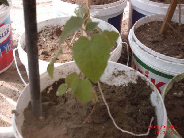 Name:  SMC_0004.jpg
Views: 939
Size:  38.8 KB