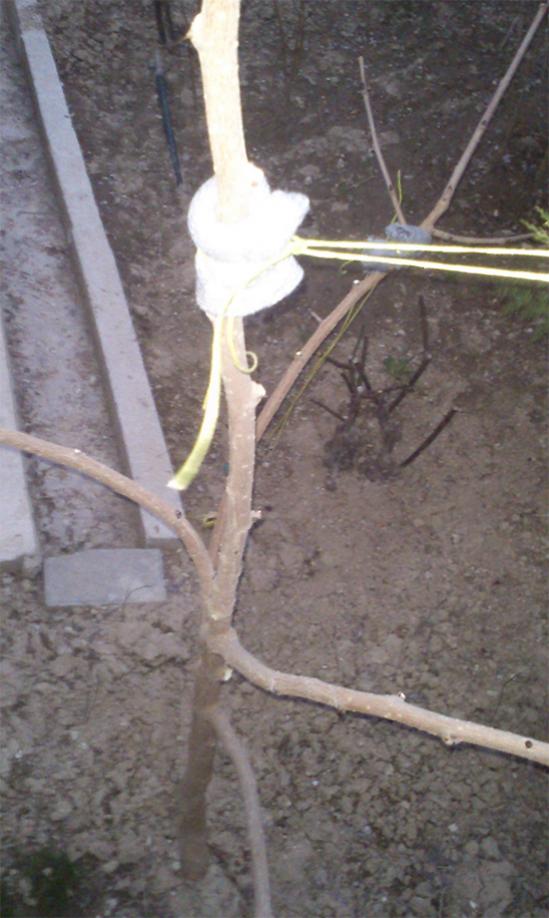 Name:  kara_dut.jpg
Views: 2192
Size:  67.3 KB